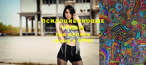 соль курить ск Белокуриха