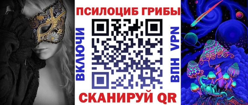 Псилоцибиновые грибы Psilocybine cubensis Буйнакск