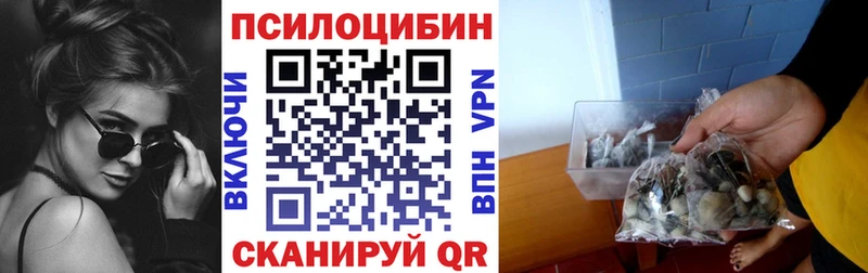 даркнет Telegram  Буйнакск  Галлюциногенные грибы мицелий 